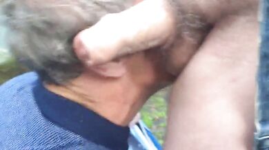 Pompino nel bosco da maturo