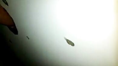 Succhia un cazzo con ingoio...