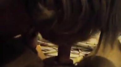 Un super pompino con ingoio