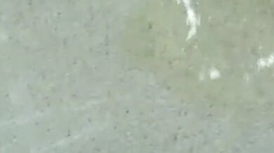 Piccolo cazzo piscia a gogò