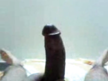 Gay iraniani