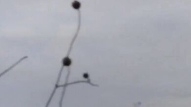 Il mio culo nudo all'aperto!