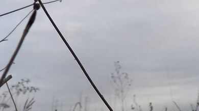 Il mio culo nudo all'aperto!